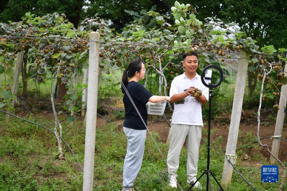 电子游艺平台白菜网